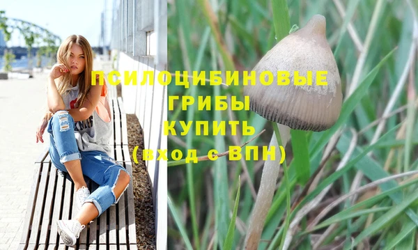 соль курить ск Богородицк