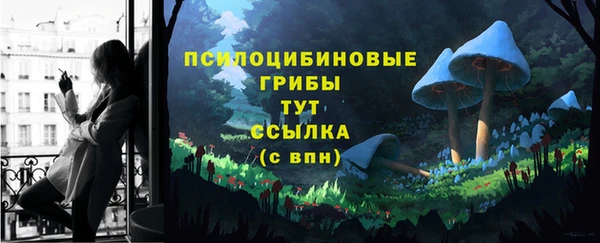 соль курить ск Богородицк