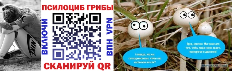 Купить  Ленск  Псилоцибиновые грибы Psilocybine cubensis 